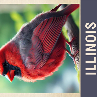 State Birds Series: Illinois, Northern Cardinal 1000 Jigsaw Puzzle 3D Modell