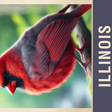 State Birds Series: Illinois, Northern Cardinal 500 Jigsaw Puzzle 3D Modell