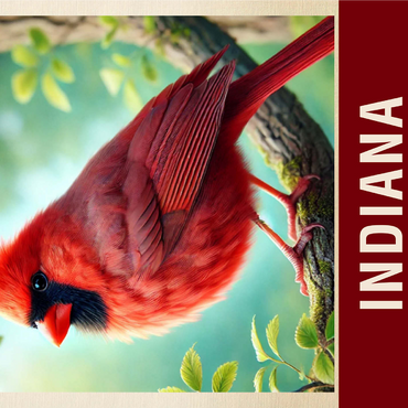 State Birds Series: Indiana, Northern Cardinal 1000 Jigsaw Puzzle 3D Modell