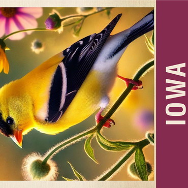 State Birds Series: Iowa, Eastern Goldfinch 1000 Jigsaw Puzzle 3D Modell