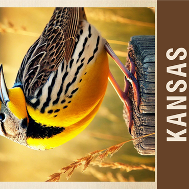 State Birds Series: Kansas, Western Meadowlark 1000 Jigsaw Puzzle 3D Modell