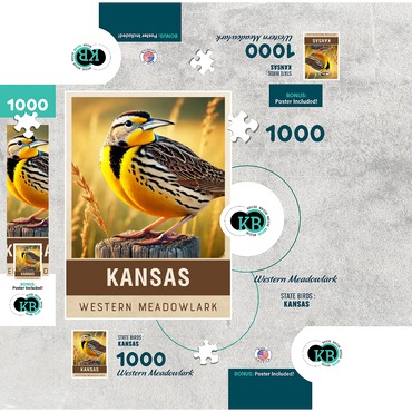 State Birds Series: Kansas, Western Meadowlark 1000 Jigsaw Puzzle box 3D Modell