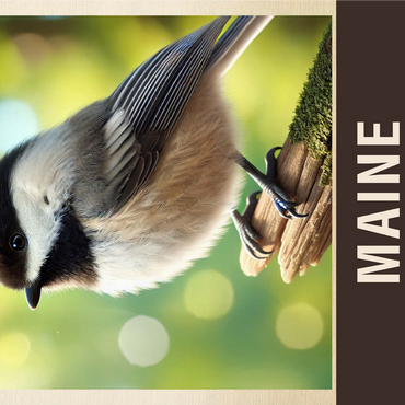 State Birds Series: Maine, Chickadee 1000 Jigsaw Puzzle 3D Modell