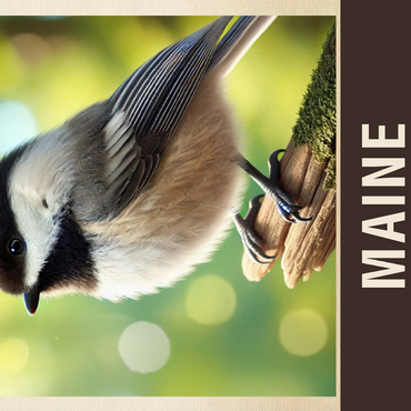 State Birds Series: Maine, Chickadee 500 Jigsaw Puzzle 3D Modell