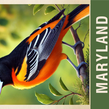State Birds Series: Maryland, Baltimore Oriole 1000 Jigsaw Puzzle 3D Modell