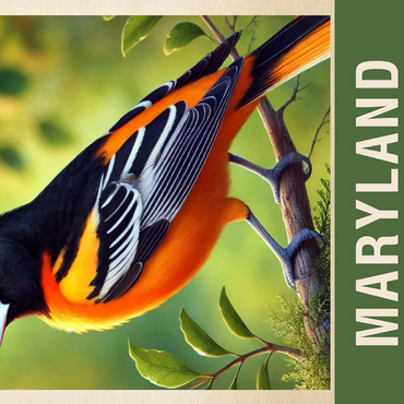 State Birds Series: Maryland, Baltimore Oriole 500 Jigsaw Puzzle 3D Modell