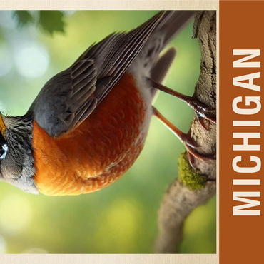 State Birds Series: Michigan, American Robin 1000 Jigsaw Puzzle 3D Modell