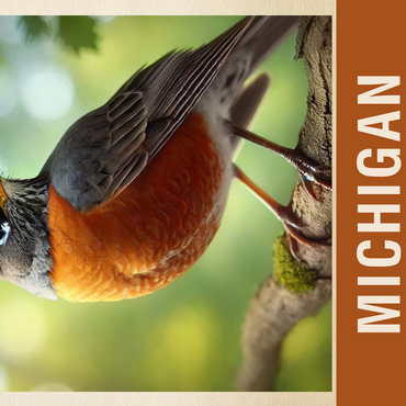 State Birds Series: Michigan, American Robin 500 Jigsaw Puzzle 3D Modell