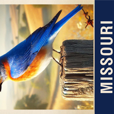 State Birds Series: Missouri, Eastern Bluebird 1000 Jigsaw Puzzle 3D Modell