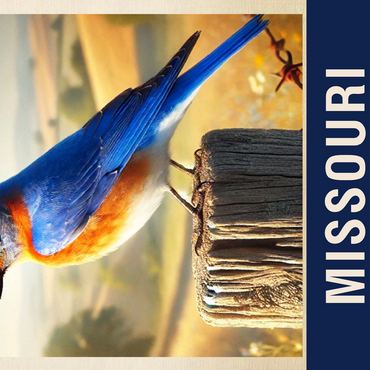 State Birds Series: Missouri, Eastern Bluebird 500 Jigsaw Puzzle 3D Modell