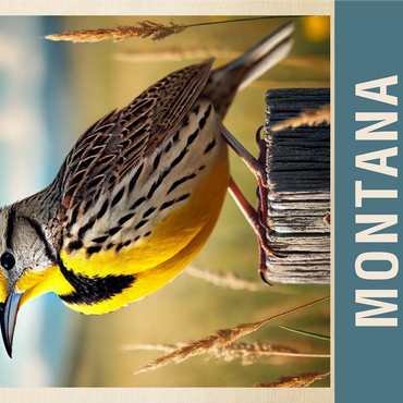 State Birds Series: Montana, Western Meadowlark 1000 Jigsaw Puzzle 3D Modell