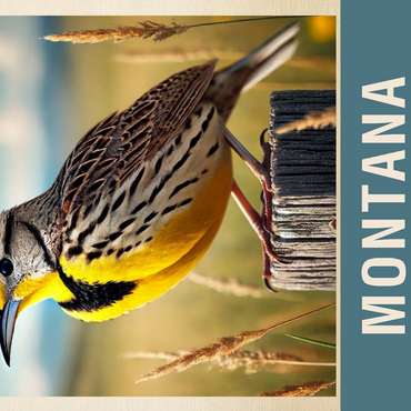 State Birds Series: Montana, Western Meadowlark 500 Jigsaw Puzzle 3D Modell