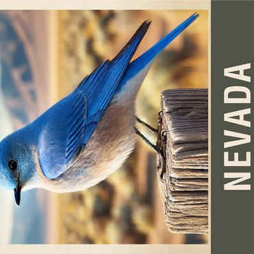State Birds Series: Nevada, Mountain Bluebird 1000 Jigsaw Puzzle 3D Modell