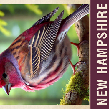 State Birds Series: New Hampshire, Purple Finch 1000 Jigsaw Puzzle 3D Modell