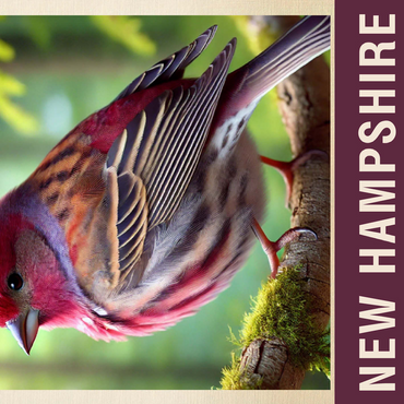 State Birds Series: New Hampshire, Purple Finch 500 Jigsaw Puzzle 3D Modell