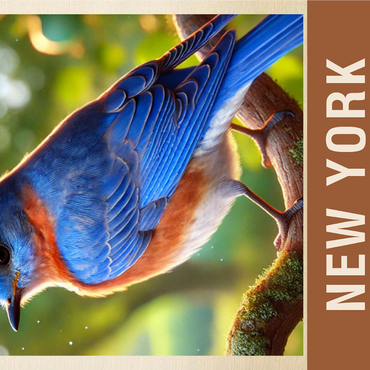 State Birds Series: New York, Eastern Bluebird 1000 Jigsaw Puzzle 3D Modell