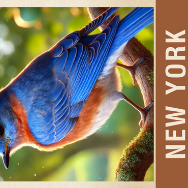 State Birds Series: New York, Eastern Bluebird 500 Jigsaw Puzzle 3D Modell