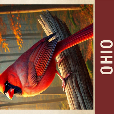 State Birds Series: Ohio, Northern Cardinal 1000 Jigsaw Puzzle 3D Modell