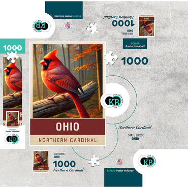 State Birds Series: Ohio, Northern Cardinal 1000 Jigsaw Puzzle box 3D Modell