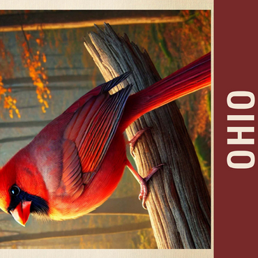 State Birds Series: Ohio, Northern Cardinal 500 Jigsaw Puzzle 3D Modell
