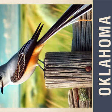State Birds Series: Oklahoma, Scissor-tailed Flycatcher 1000 Jigsaw Puzzle 3D Modell