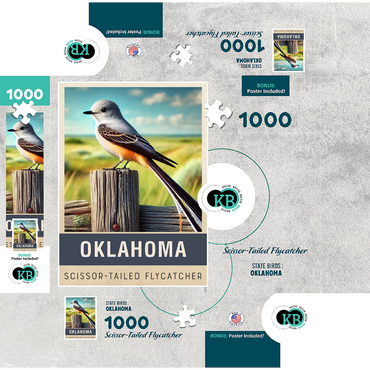 State Birds Series: Oklahoma, Scissor-tailed Flycatcher 1000 Jigsaw Puzzle box 3D Modell