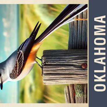 State Birds Series: Oklahoma, Scissor-tailed Flycatcher 500 Jigsaw Puzzle 3D Modell