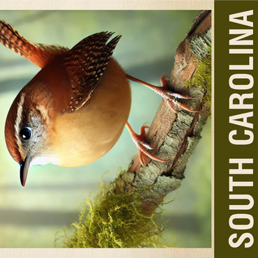 State Birds Series: South Carolina, Carolina Wren 1000 Jigsaw Puzzle 3D Modell