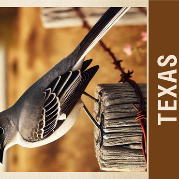 State Birds Series: Texas, Northern Mockingbird 1000 Jigsaw Puzzle 3D Modell