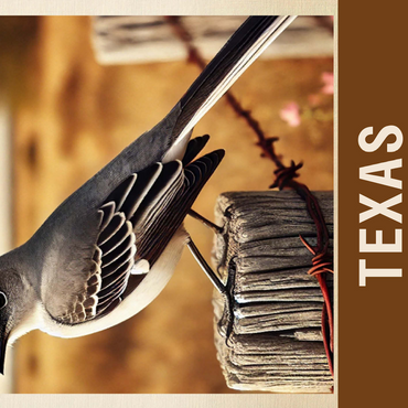 State Birds Series: Texas, Northern Mockingbird 500 Jigsaw Puzzle 3D Modell
