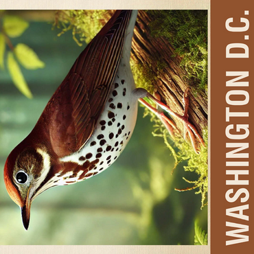 State Birds Series: Washington D.C., Wood Thrush 500 Jigsaw Puzzle 3D Modell