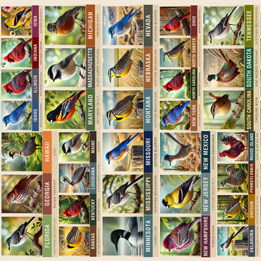 State Birds Series: 50 State Birds Collage, vol.1 500 Jigsaw Puzzle 3D Modell