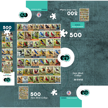 State Birds Series: 50 State Birds Collage, vol.1 500 Jigsaw Puzzle box 3D Modell