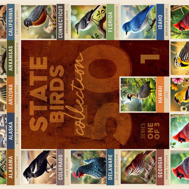 State Birds Series: 50 State Birds Collage, Part 1 of 3 1000 Jigsaw Puzzle 3D Modell