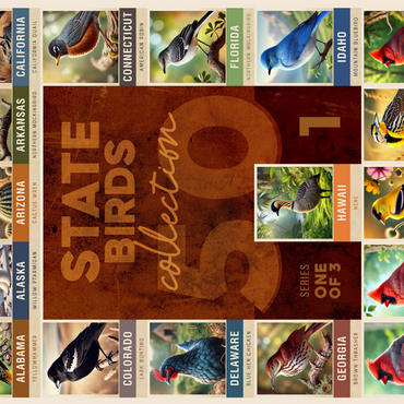 State Birds Series: 50 State Birds Collage, Part 1 of 3 500 Jigsaw Puzzle 3D Modell