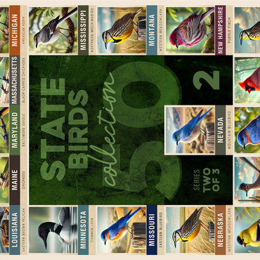 State Birds Series: 50 State Birds Collage, Part 2 of 3 1000 Jigsaw Puzzle 3D Modell