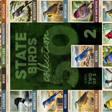 State Birds Series: 50 State Birds Collage, Part 2 of 3 500 Jigsaw Puzzle 3D Modell