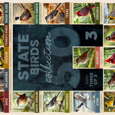 State Birds Series: 50 State Birds Collage, Part 3 of 3 1000 Jigsaw Puzzle 3D Modell