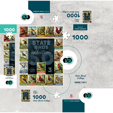 State Birds Series: 50 State Birds Collage, Part 3 of 3 1000 Jigsaw Puzzle box 3D Modell