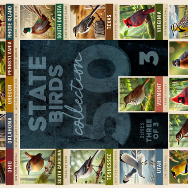 State Birds Series: 50 State Birds Collage, Part 3 of 3 500 Jigsaw Puzzle 3D Modell