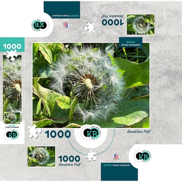 Macro Photography: Dandelion Puff, no.1 1000 Jigsaw Puzzle box 3D Modell