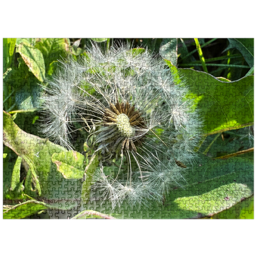 puzzleplate Macro Photography: Dandelion Puff, no.1 500 Jigsaw Puzzle