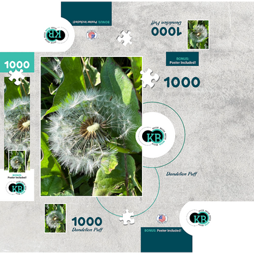 Macro Photography: Dandelion Puff, no.2 1000 Jigsaw Puzzle box 3D Modell