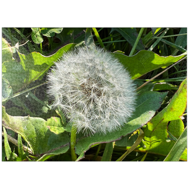 puzzleplate Macro Photography: Dandelion Puff, no.3 1000 Jigsaw Puzzle
