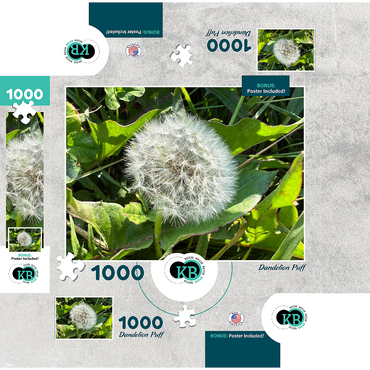 Macro Photography: Dandelion Puff, no.3 1000 Jigsaw Puzzle box 3D Modell