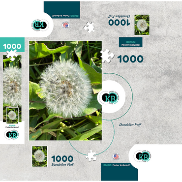 Macro Photography: Dandelion Puff, no.4 1000 Jigsaw Puzzle box 3D Modell