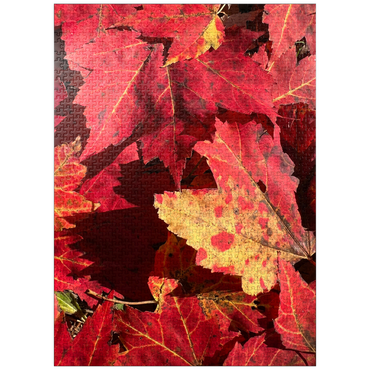 puzzleplate Macro Photography: Red Fall Leaves, no.2 1000 Jigsaw Puzzle