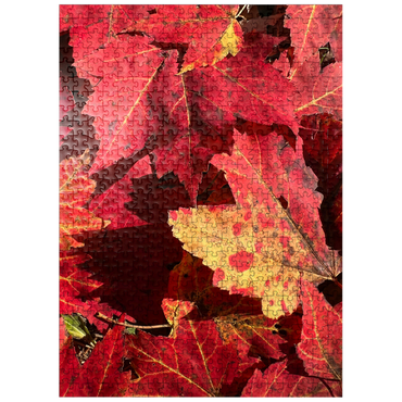 puzzleplate Macro Photography: Red Fall Leaves, no.2 500 Jigsaw Puzzle