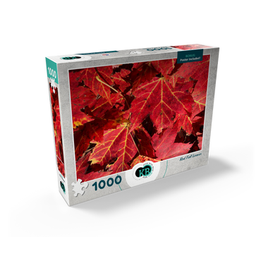 Macro Photography: Red Fall Leaves, no.3 1000 Jigsaw Puzzle box view2