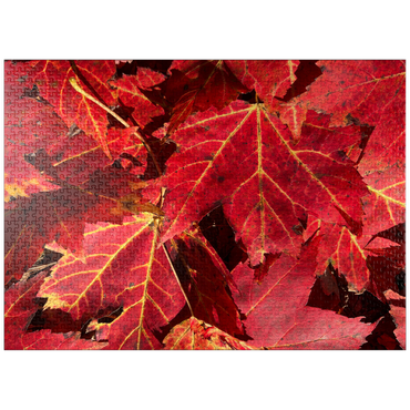 puzzleplate Macro Photography: Red Fall Leaves, no.3 1000 Jigsaw Puzzle